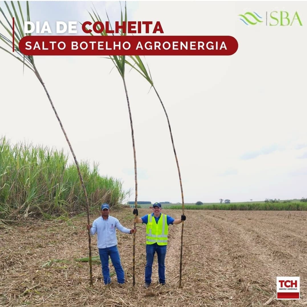 Salto Botelho Agroenergia S.A.